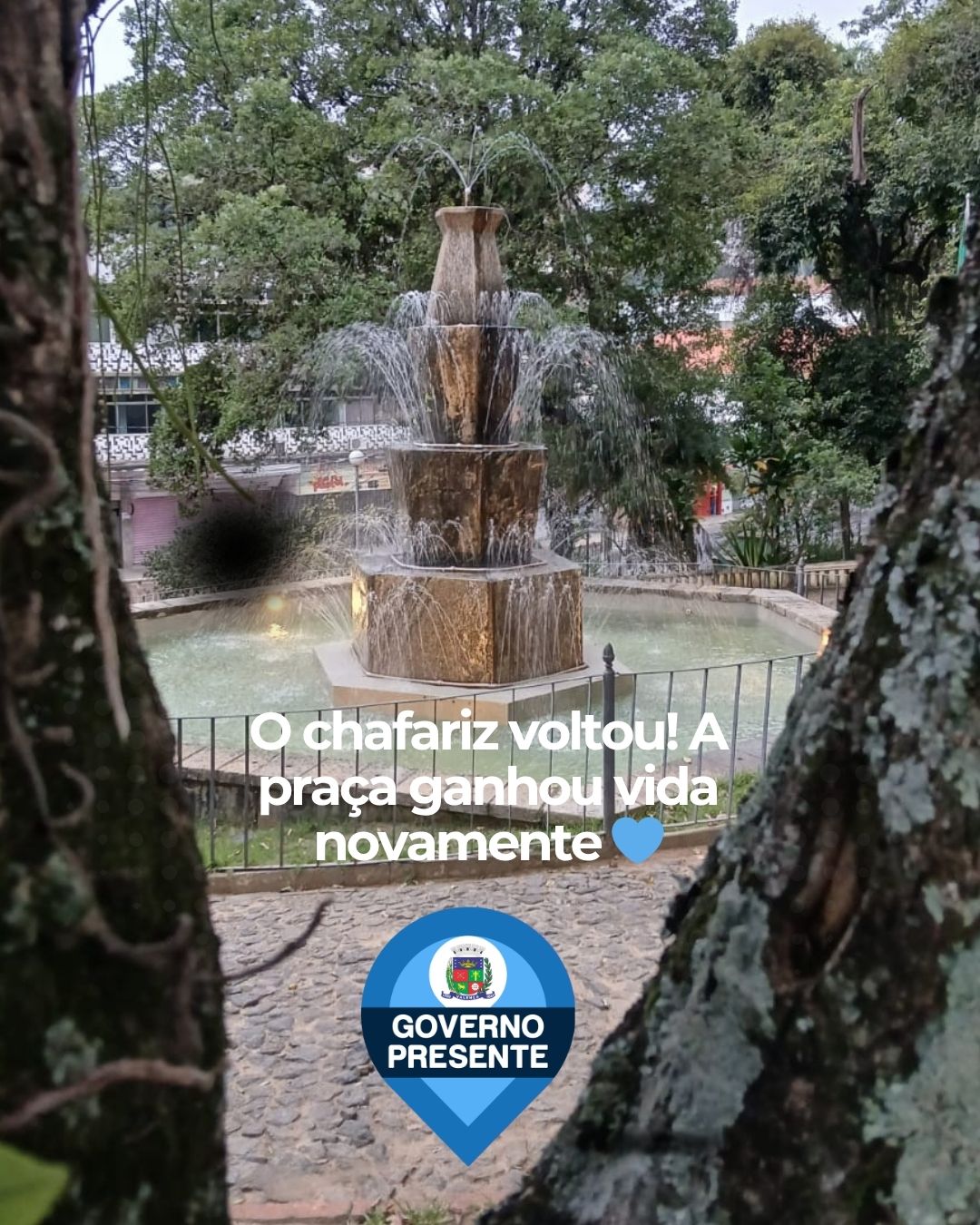 WhatsApp Image 2026-04-28 at 08.55.50.jpeg