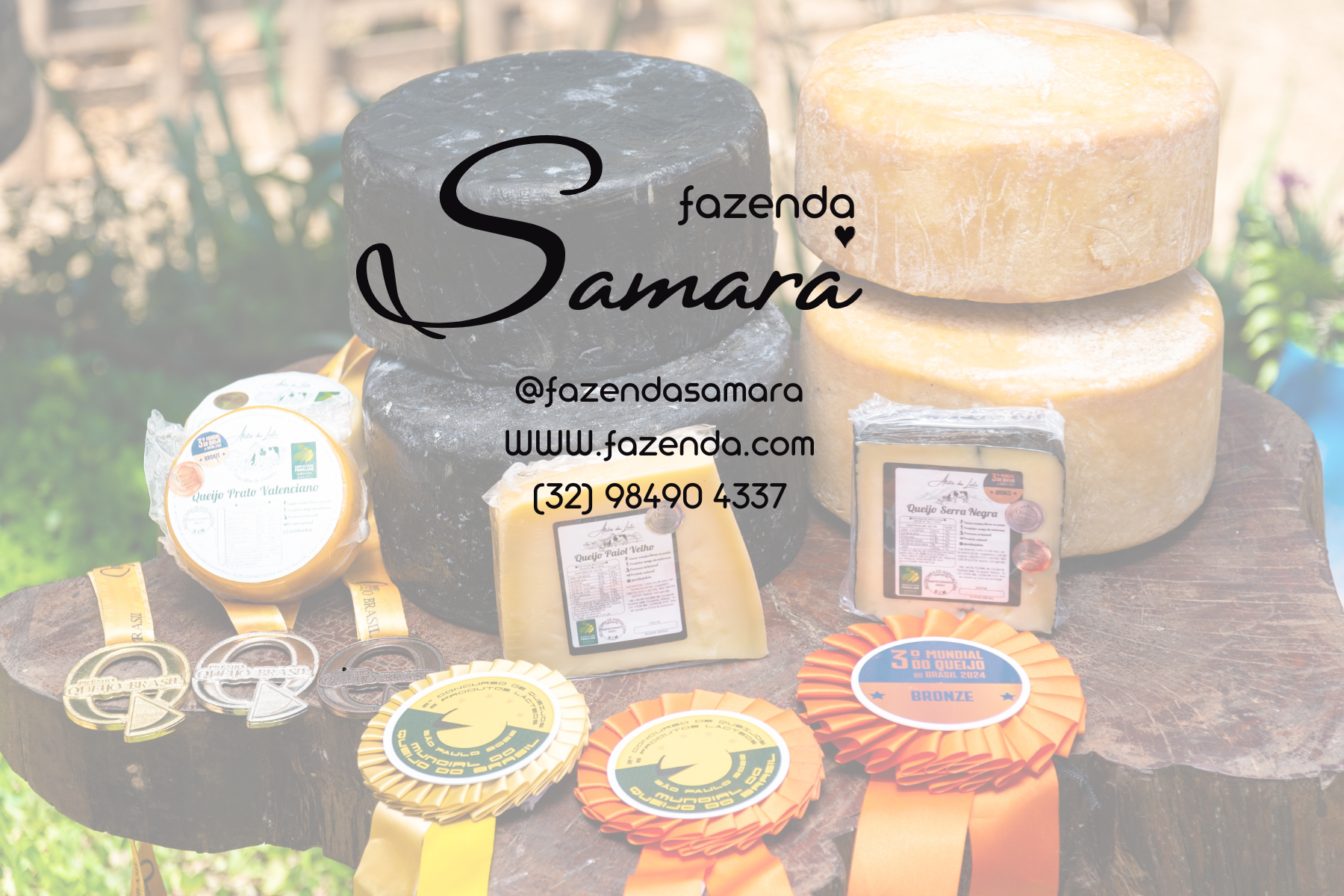 fazenda samara  contato.png